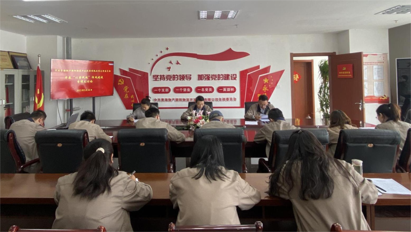 以案促改轉(zhuǎn)作風(fēng) 堅(jiān)守底線樹(shù)新風(fēng)   &mdash;&mdash;青海物產(chǎn)朝陽(yáng)物流開(kāi)發(fā)投資有限公司支部委員會(huì)開(kāi)展&ldquo;以案促改&rdquo;作風(fēng)建設(shè)專(zhuān)項(xiàng)大討論