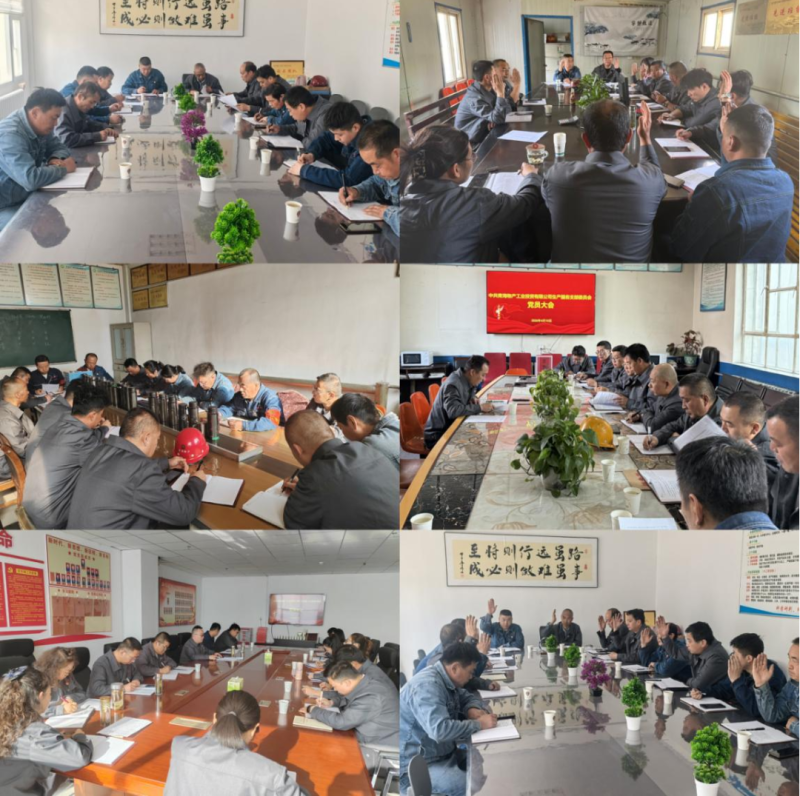 工投公司黨委圓滿(mǎn)完成所屬黨組織優(yōu)化調(diào)整及選舉工作