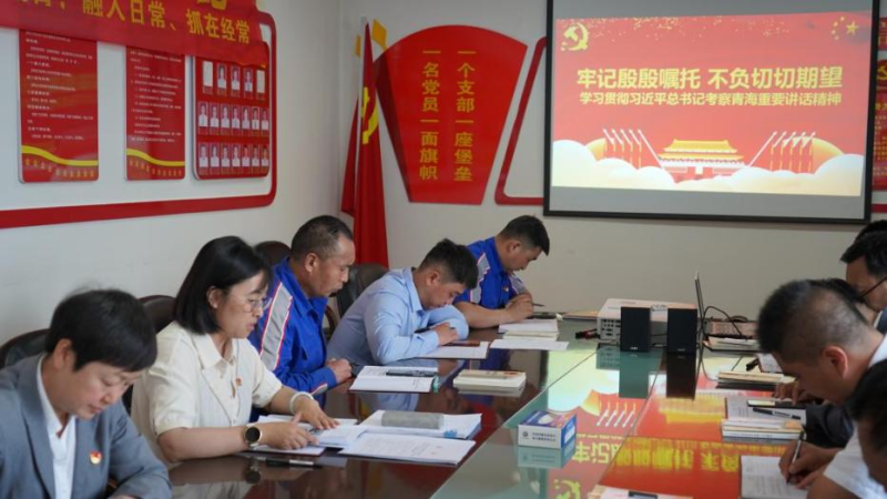 物產(chǎn)汽貿公司黨支部認真學習貫徹習近平總書記考察青海時的重要講話精神